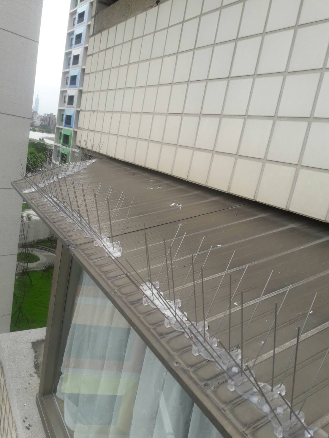 SafePRO® 不鏽鋼驅鳥刺 (防鳥刺)