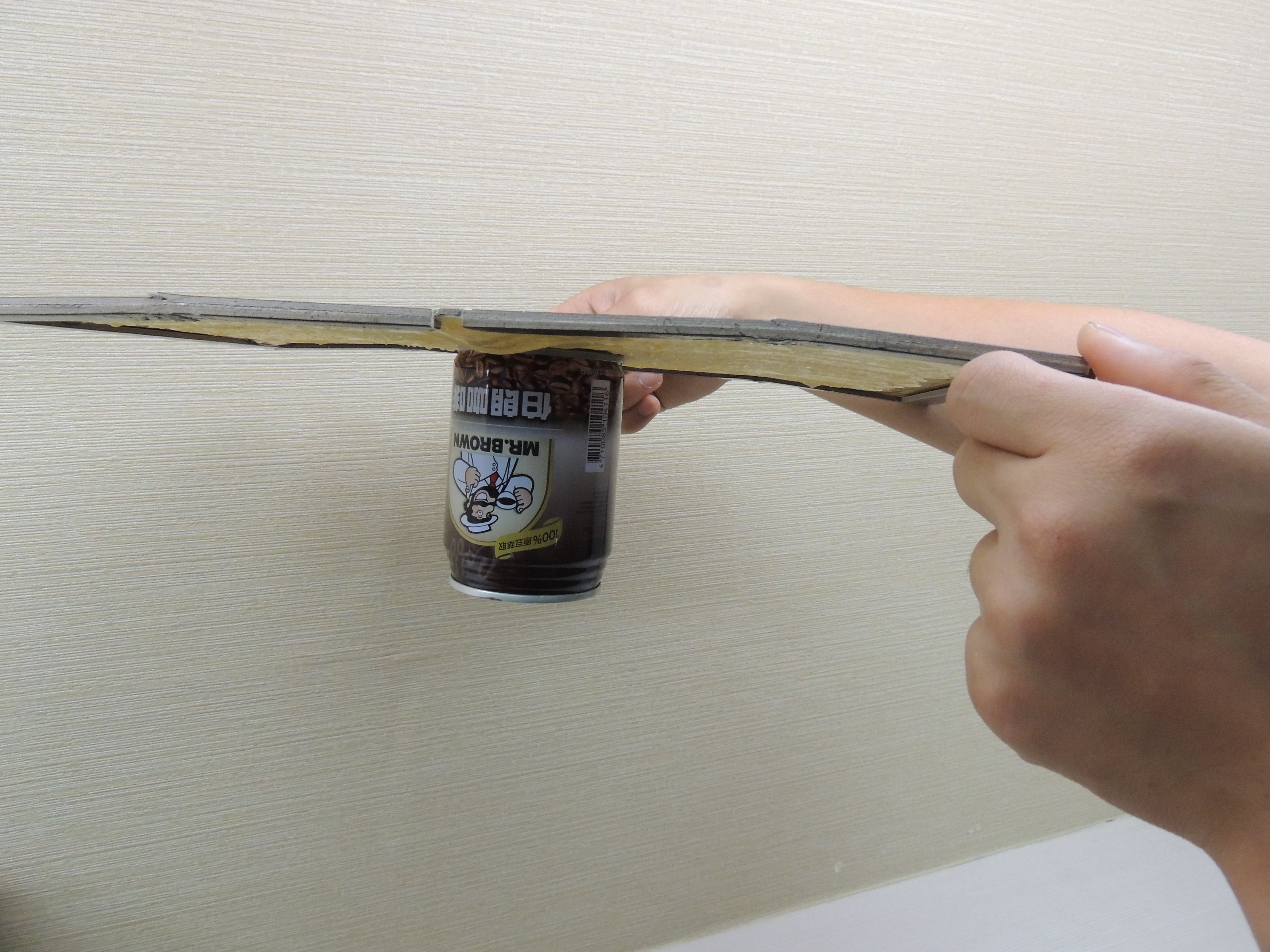 SafePRO® 超黏力捕鼠板 (硬紙卡)/一組兩入